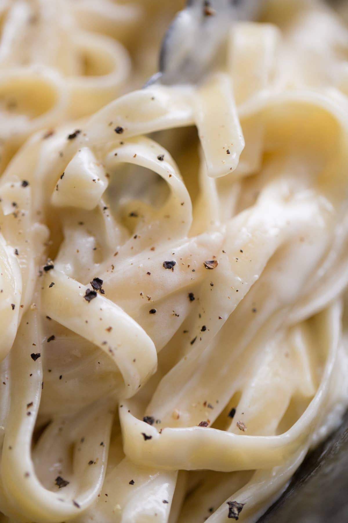 close up of fettuccine noodles covered in alfredo sauce