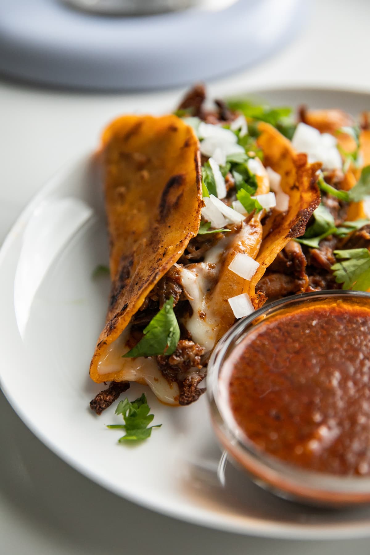 birria tacos on plate