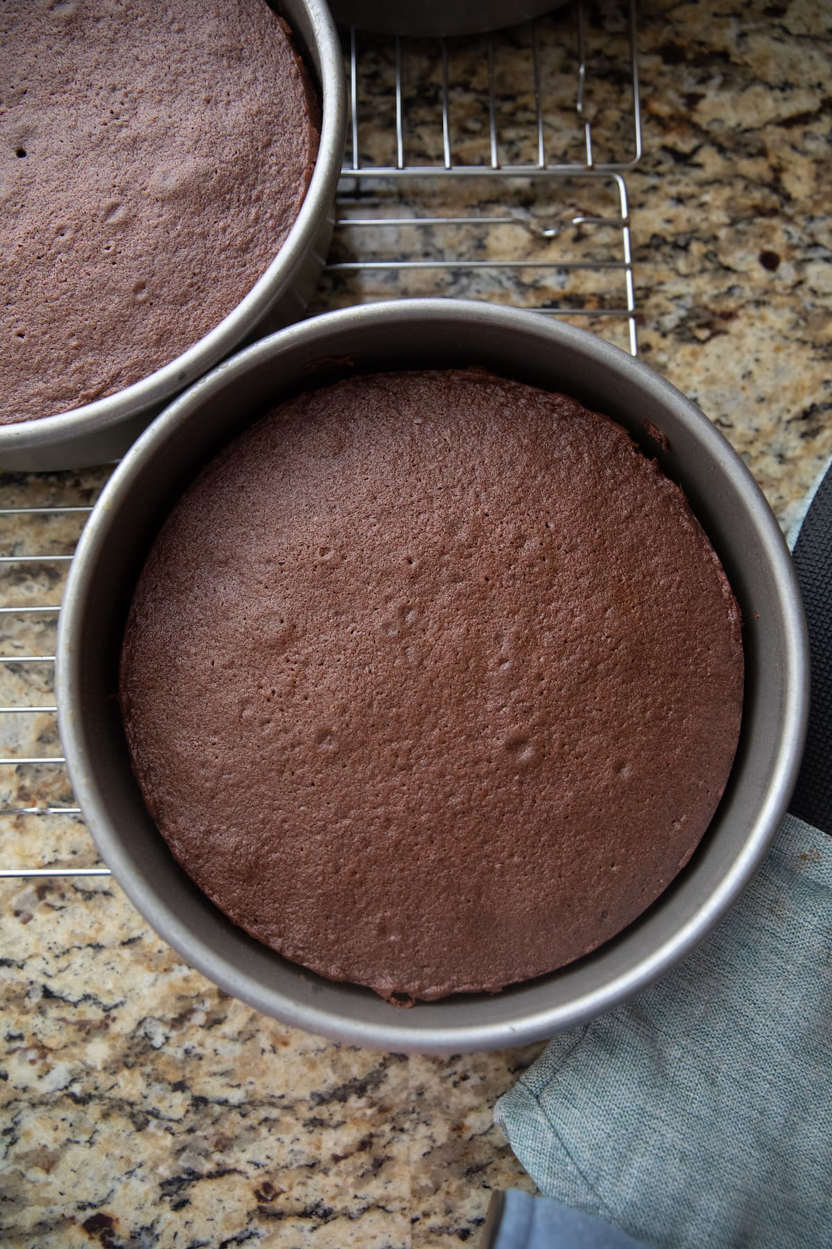 baked chocolate cake in pans