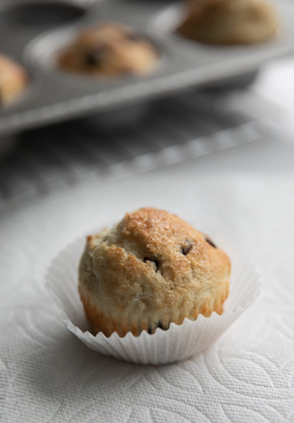 unwrapped chocolate chip muffin