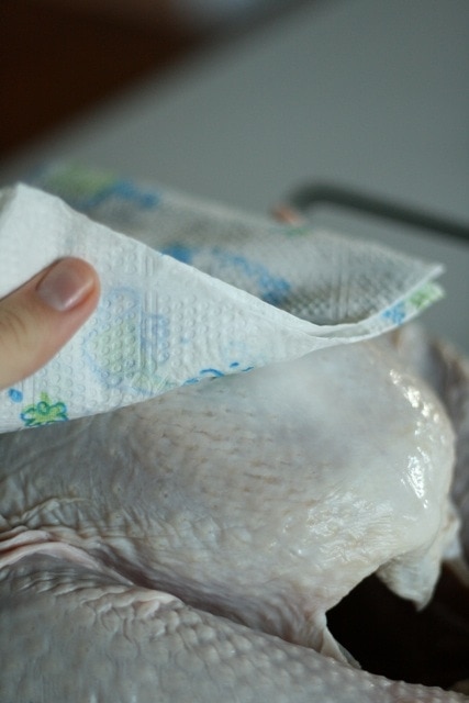 blotting turkey with paper towels