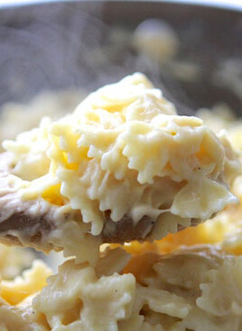 cauliflower cheese sauce with bowtie pasta
