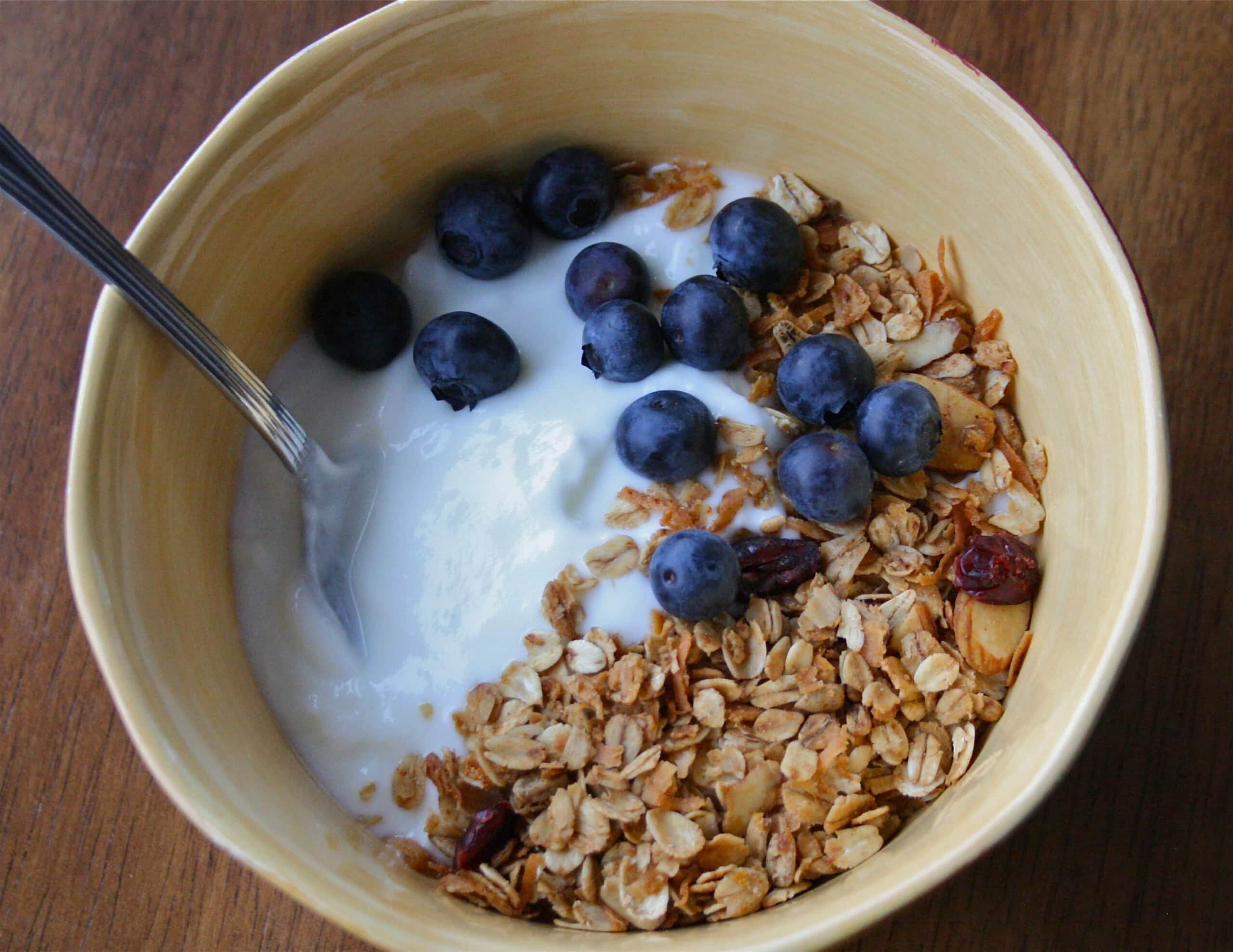 homemade greek yogurt with granola and blueberries