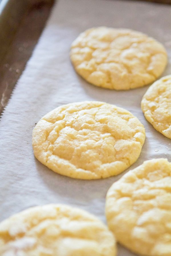 lemon crinkle cookies on baking sheet