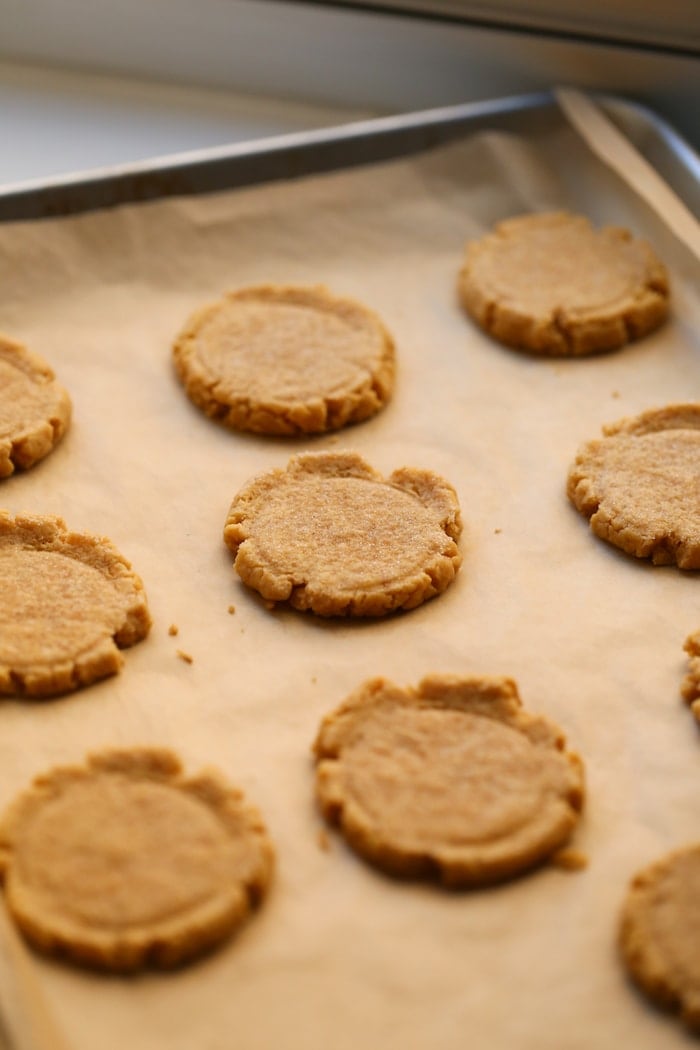 pumpkin sugar cookies on a baking sheet without icing