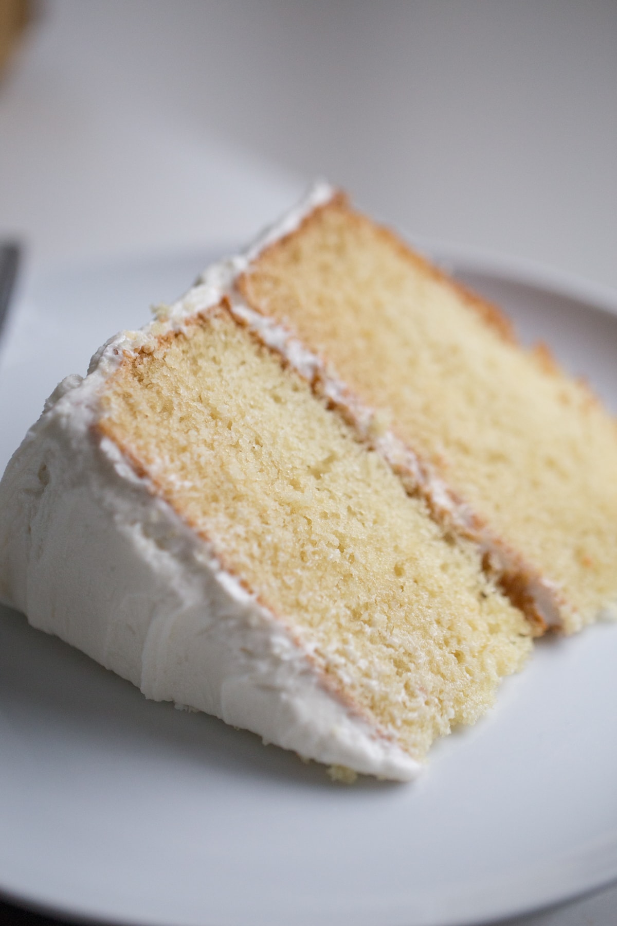 Cake slice on white plate
